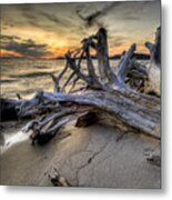 Pic Driftwood Metal Print