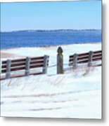 Picture Perfect Spot Metal Print