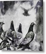 Pigeons Bw Metal Print