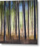 Pine Forest Metal Print