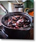 Pine Nut For Breakfast In Cunha City Metal Print