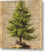 Pine Tree,cedar Tree,forest,nature Dictionary Art,christmas Tree Metal Print