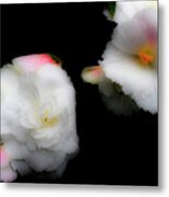 Pink And Yellow On White 1 Metal Print