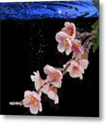 Pink Blossom In Water With Bubbles Metal Print