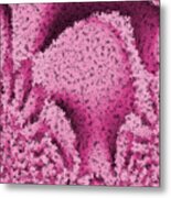 Pink Confetti Metal Print