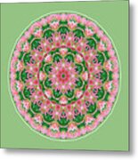 Pink Delight Metal Print