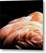 Pink Dreams Metal Print