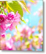 Pink  Flower Beautiful Metal Print