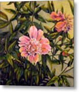 Pink Peonies Metal Print