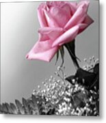 Pink Petals Metal Print