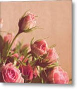 Pink Roses Metal Print