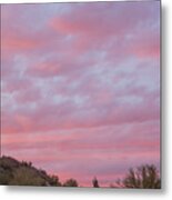 Pink Sky Desert Sunset Metal Print