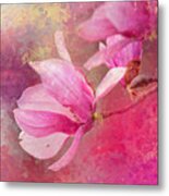 Pink Tulip Magnolia In Spring Metal Print