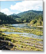 Placid Umpqua River In October Metal Print