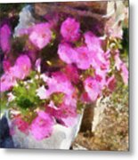 Planter Of Petunias Metal Print