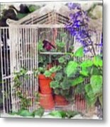 Plants In The Bird Cage Metal Print