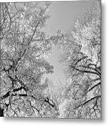 Platinum Skies Metal Print