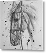 Pncil Drawing Horse #1743 Metal Print