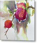 Pomegranates Metal Print