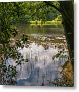 Pond In Spring Metal Print