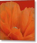 Poppy Art # 4 Metal Print