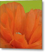 Poppy Art Metal Print