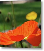 Poppy Cup Metal Print