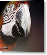 Portrait Of A Parrot Metal Print