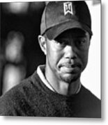 Portrait  Tiger Woods Black White Metal Print