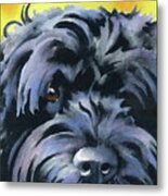 Portuguese Water Dog Metal Print