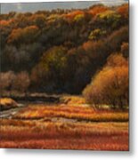Prairie Autumn Stream No.2 Metal Print