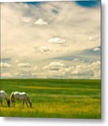 Prairie Horses Metal Print