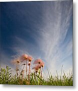 Prairie Smoke On The Prairie Metal Print