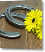 Preakness Stakes Black Eyed Susans With Horseshoes On Wood Metal Print