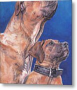 Presa Canario Metal Print