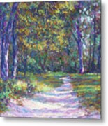 Presque Isle Path Metal Print