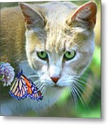Pretty Cat And Monarch Butterfly Metal Print