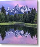 Schwabacher's Hope Metal Print