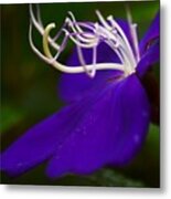 Princess Flower Flow Metal Print