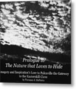 Prologue To The Nature That Loves To Hide Metal Print