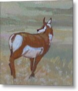 Prong Horned Antelope Metal Print