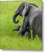 Protective Elephant Mom Metal Print
