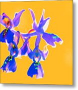 Orange Provence Orchid Metal Print