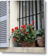 Provence Window Metal Print
