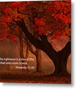 Proverbs 11 30 Scripture And Picture Metal Print