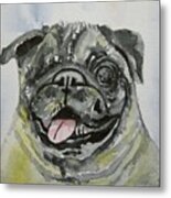 One Eyed Pug Portrait Metal Print