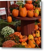 Pumpkin Display Metal Print