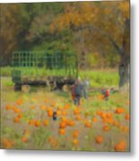 Pumpkins At Langwater Farm Metal Print