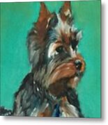 Puppy B Metal Print