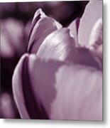 Purple Dream Metal Print